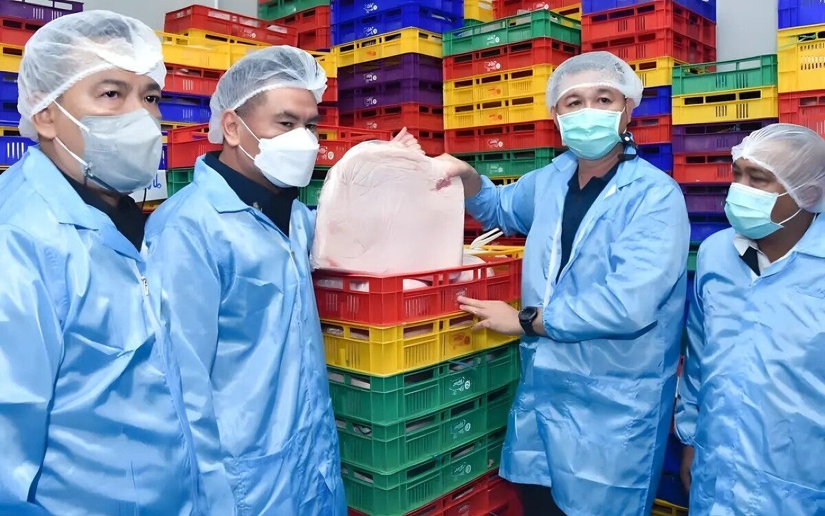 DIT inspiziert Kühlhäuser, die Schweinefleisch lagern, um illegale Importe zu verhindern