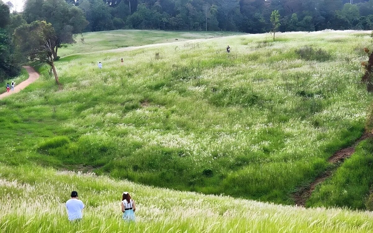 Dramatische Szene: Touristen ignorieren Verbot und betreten gefährliche Zone im Khao Yai Nationalpark für Pre-Wedding Fotoshootings