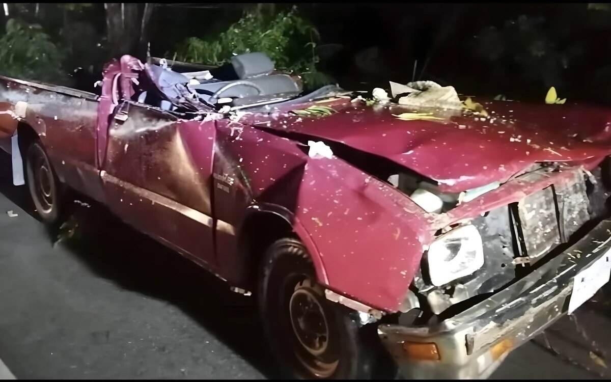 Durch sturm stuerzt ein baum auf einen pickup der fahrer stirbt und ein beifahrer wird schwer