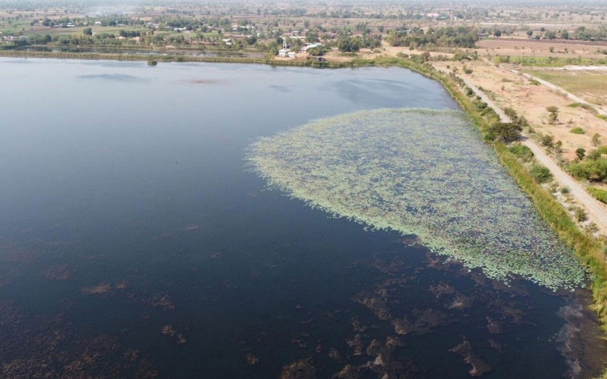 Eeg bereitet sich auf wasserknappheit vor