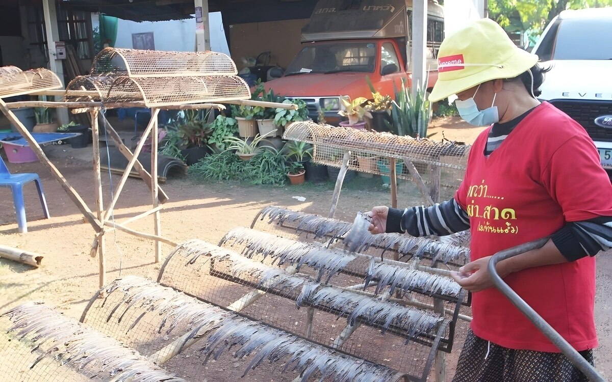 Ein Thailändisches Dorf zeigt, wie man mit Regenwürmern Wohlstand schafft: Erfolgreiches Regenwurmimperium in Ban Tan