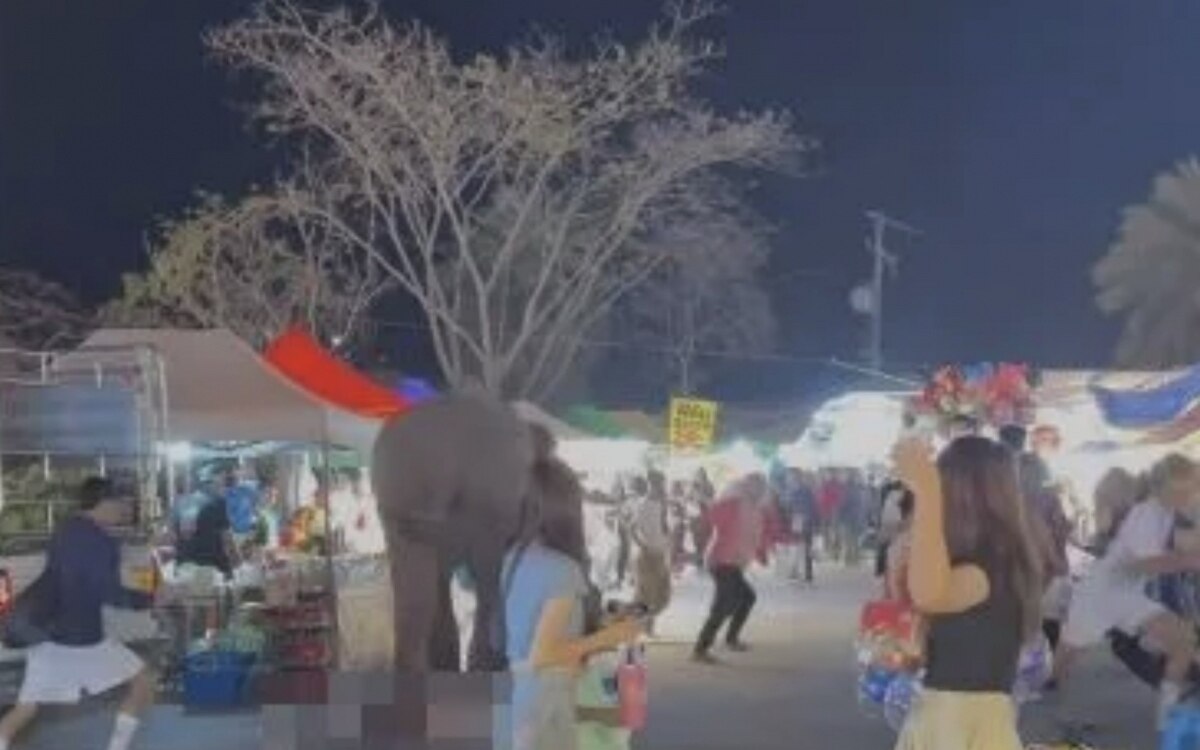 Elefant loest chaos auf jahrmarkt aus fuenf verletzte durch unerwarteten vorfall durch feuerwerk