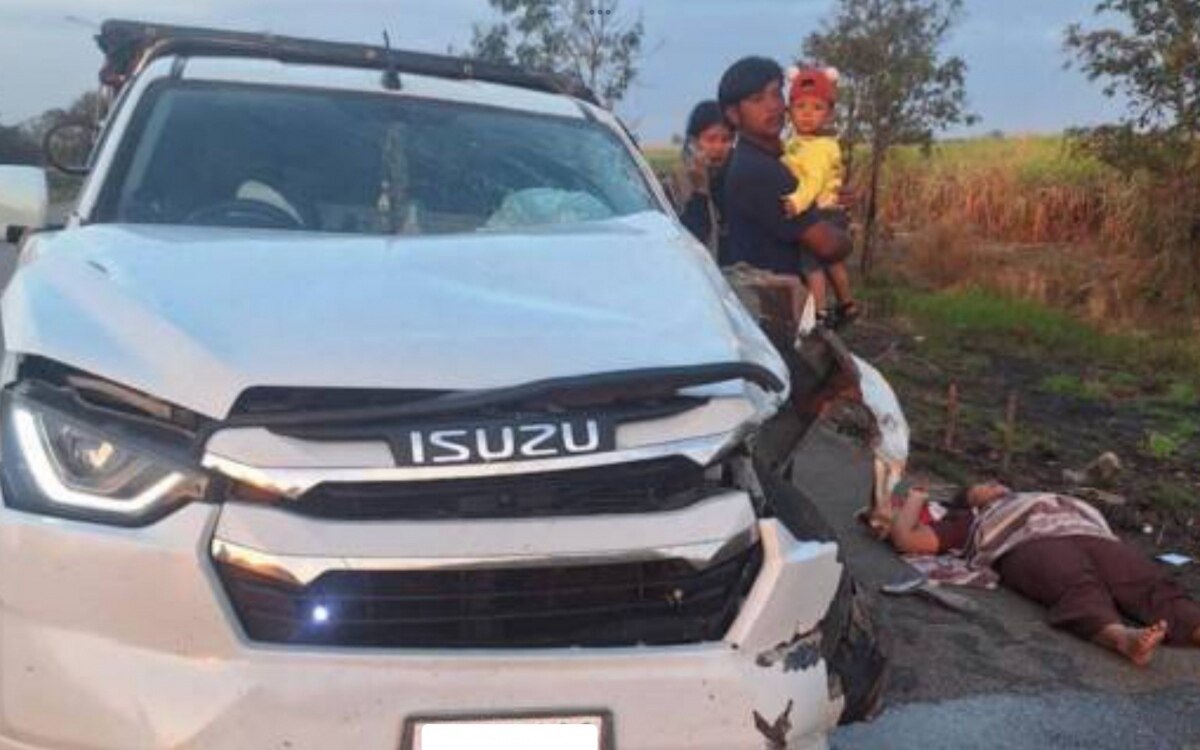 Elefantenunfall auf thailaendischer strasse 3 verletzte sicherheitsmassnahmen fuer autofahrer