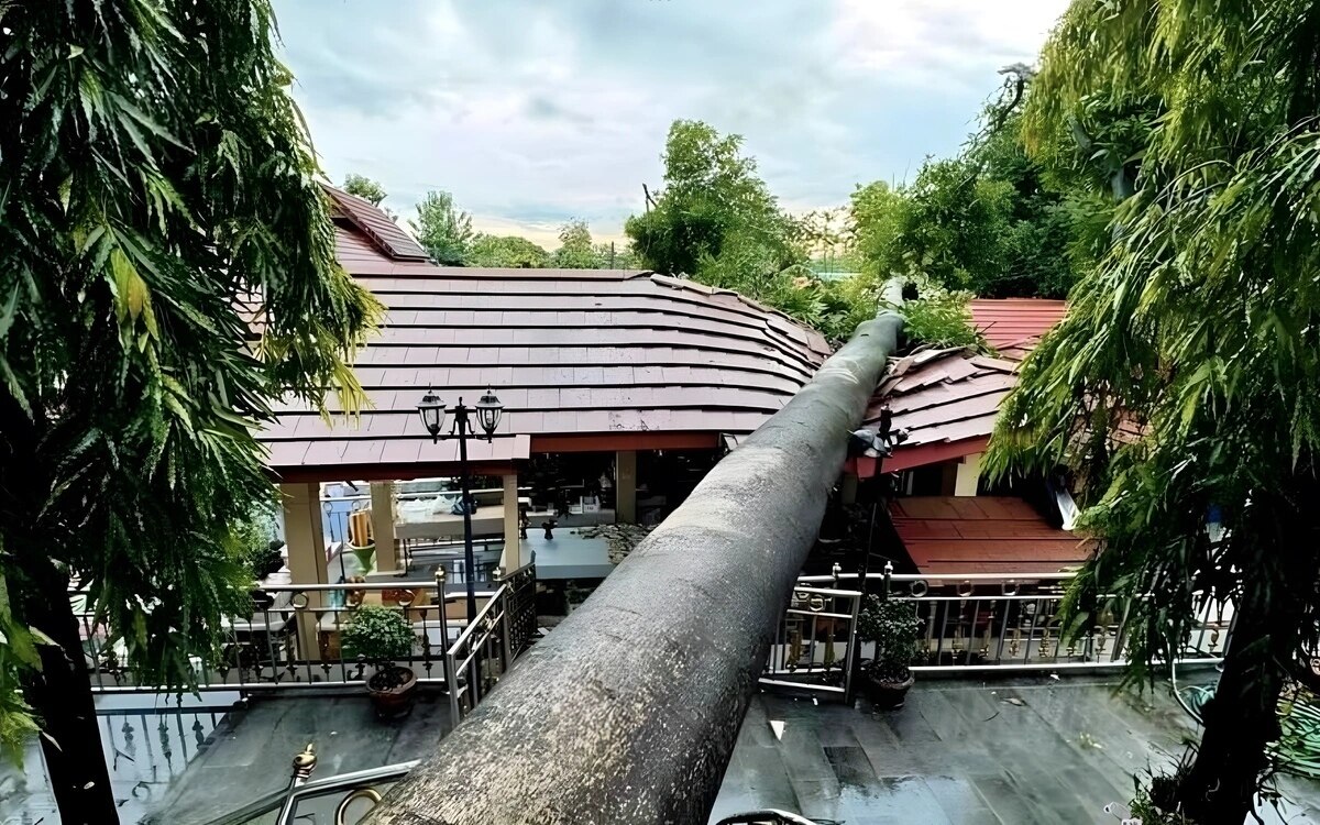 Erdrutschartige Schäden in Chiang Mai: Baum stürzt auf Meditationsraum im Wat Phra That Si Chom Thong