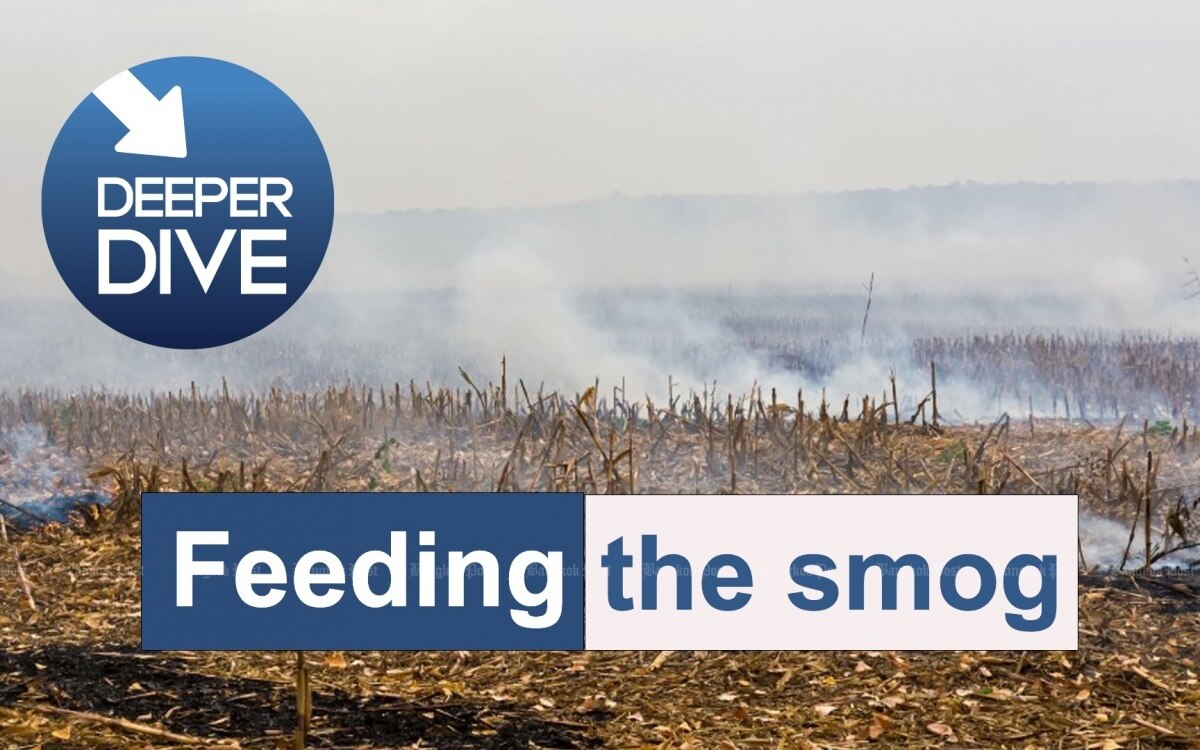 Experten schuetten kaltes wasser auf die belohnungen fuer die verfolgung von waldbrandstiftern