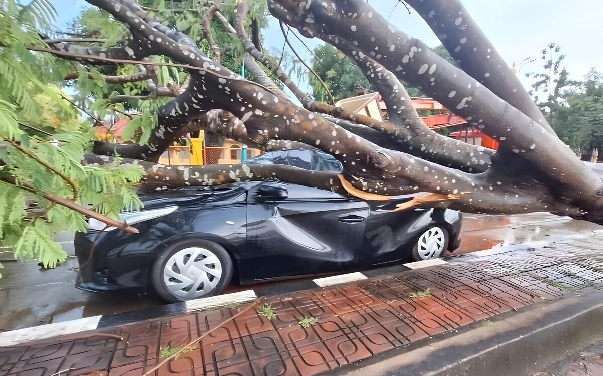 Fahrerin steht unter schock als riesiger baum sein auto zerquetscht wundersame rettung dank amulet