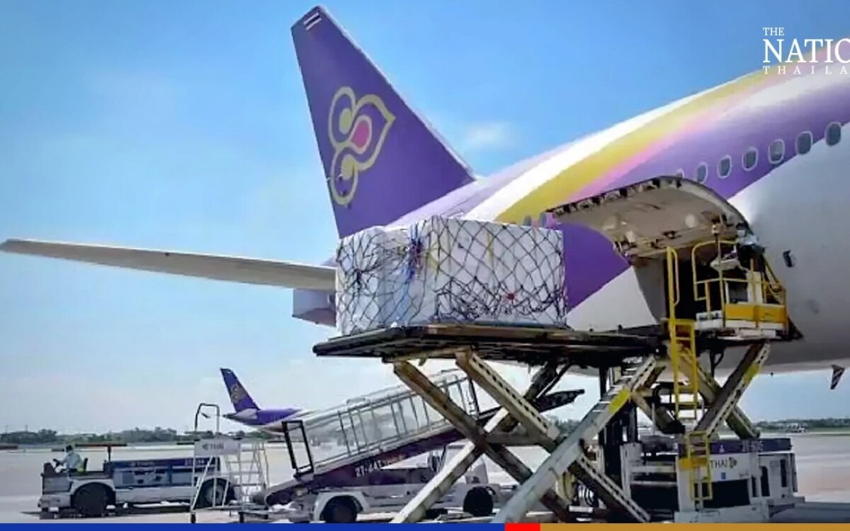 Flughafenservice von thai airways sei schlampig sagt verkehrsminister