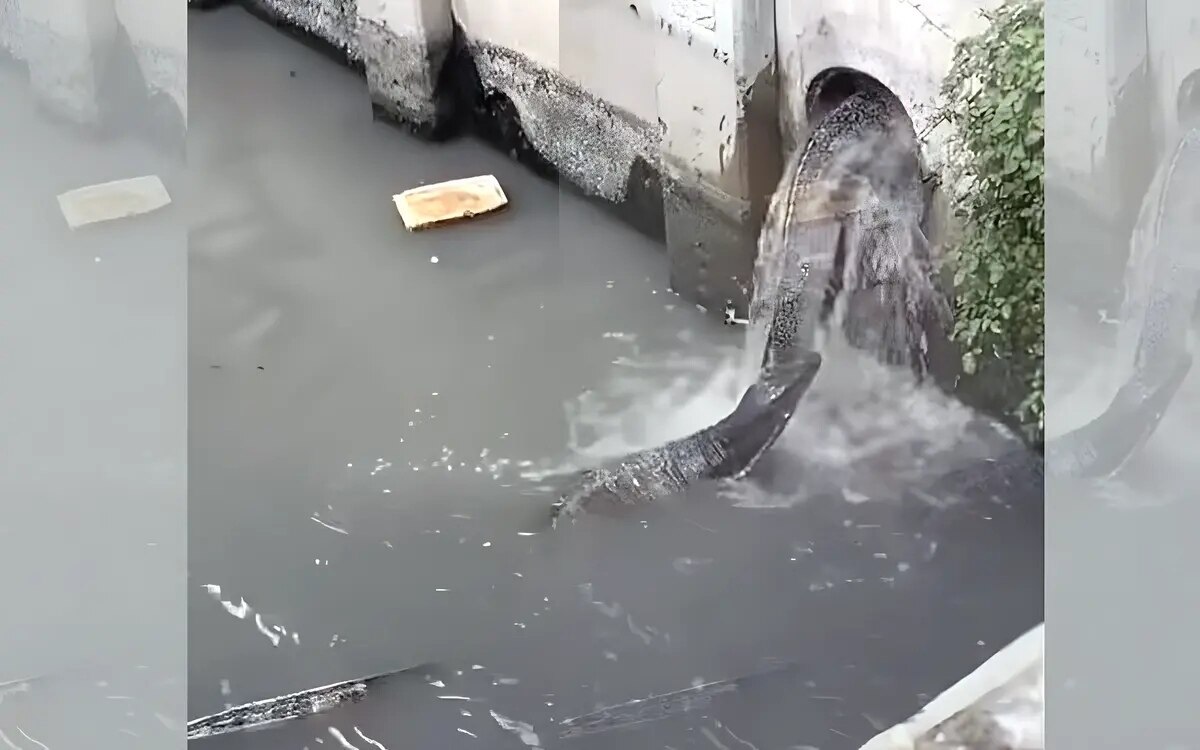 Monstroeser wasserwaran steckt in bangkoks abwasserrohr fest video