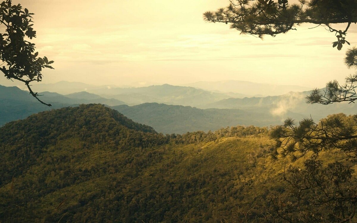 Nach kurzer waermephase thailand bereitet sich auf kaelteeinbruch um 4 6 grad celsius vor