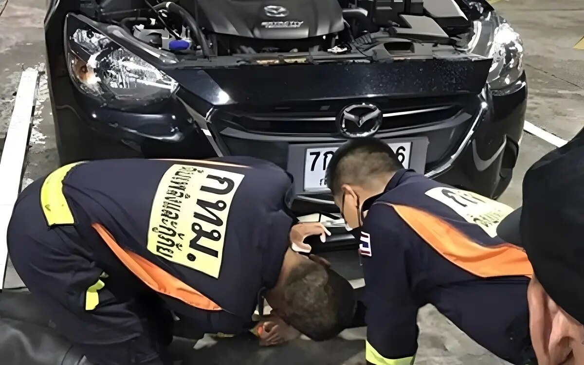 Naechtlicher schlangenbesuch waehrend der autofahrt