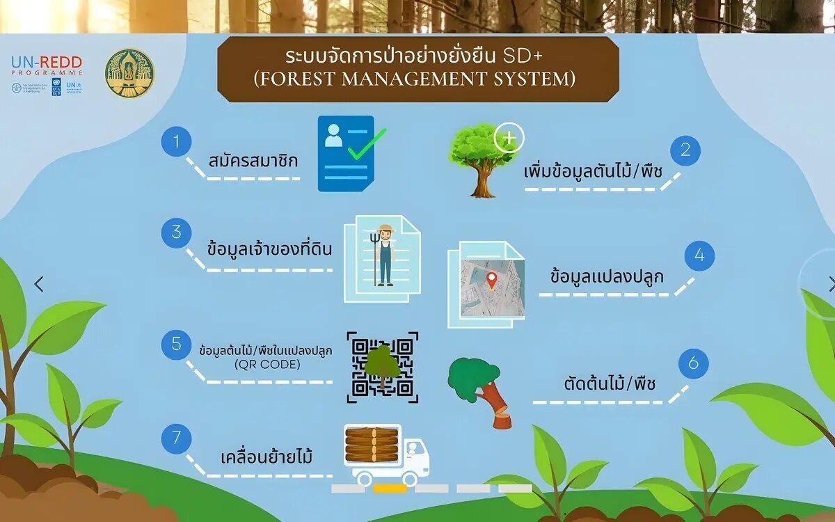 Neue eTree-Plattform soll Holzbauern helfen