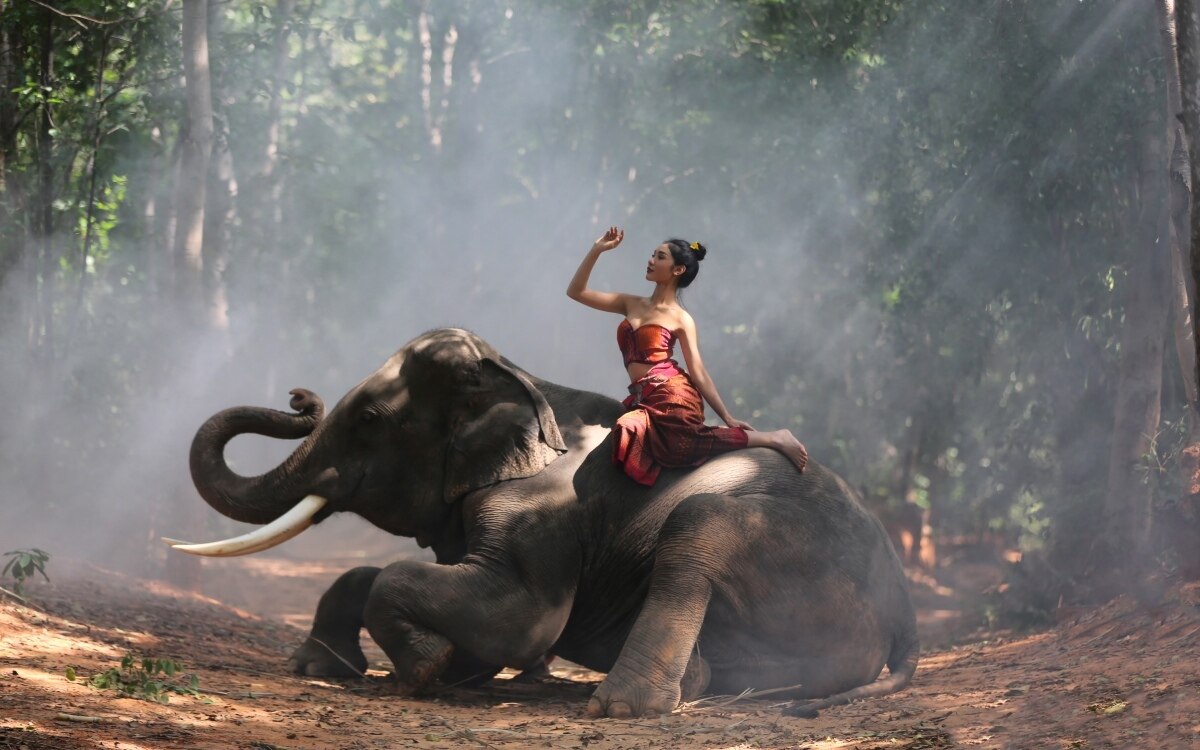 Neues Elefanten Museum im Nordosten Thailands begeistert die Besucher