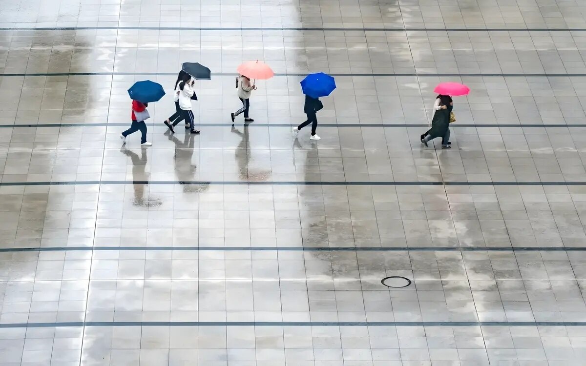 Nord-Nordost-Ost bereitet sich auf starken Regen oder Gewitter vor - 60 % der Fläche betroffen