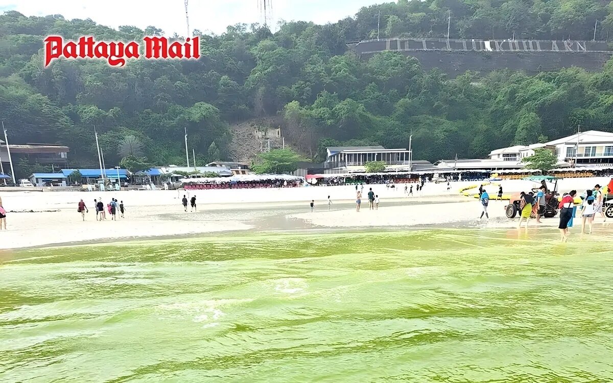 Phaenomen des gruenen meeres begeistert die touristen am strand von koh larn