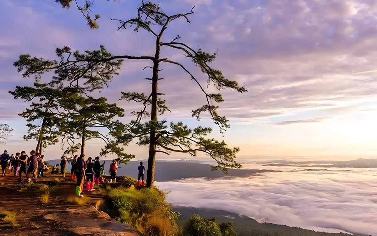 Phu kradueng in loei oeffnet am 1 oktober wieder