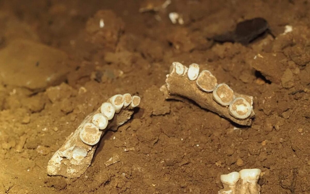 Praehistorische ueberreste in der hoehle von satun gefunden