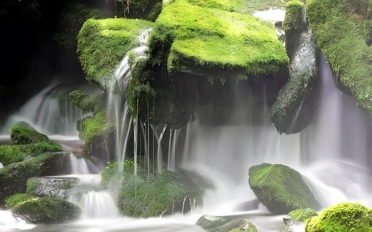 Reiseleiterin zeichnet clip auf auslaendische touristen weigern sich den eintrittspreis von 400