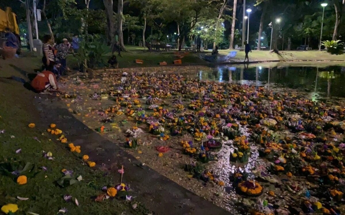 Schaedigen brotkrathongs bangkoks oeffentliche parkteiche