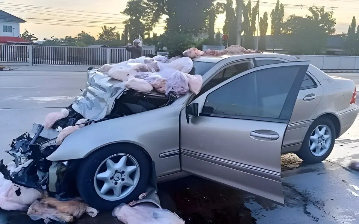 Schwerer  Unfall mit Mercedes-Benz - Schweine und Unfallopfer durch die Luft geschleudert