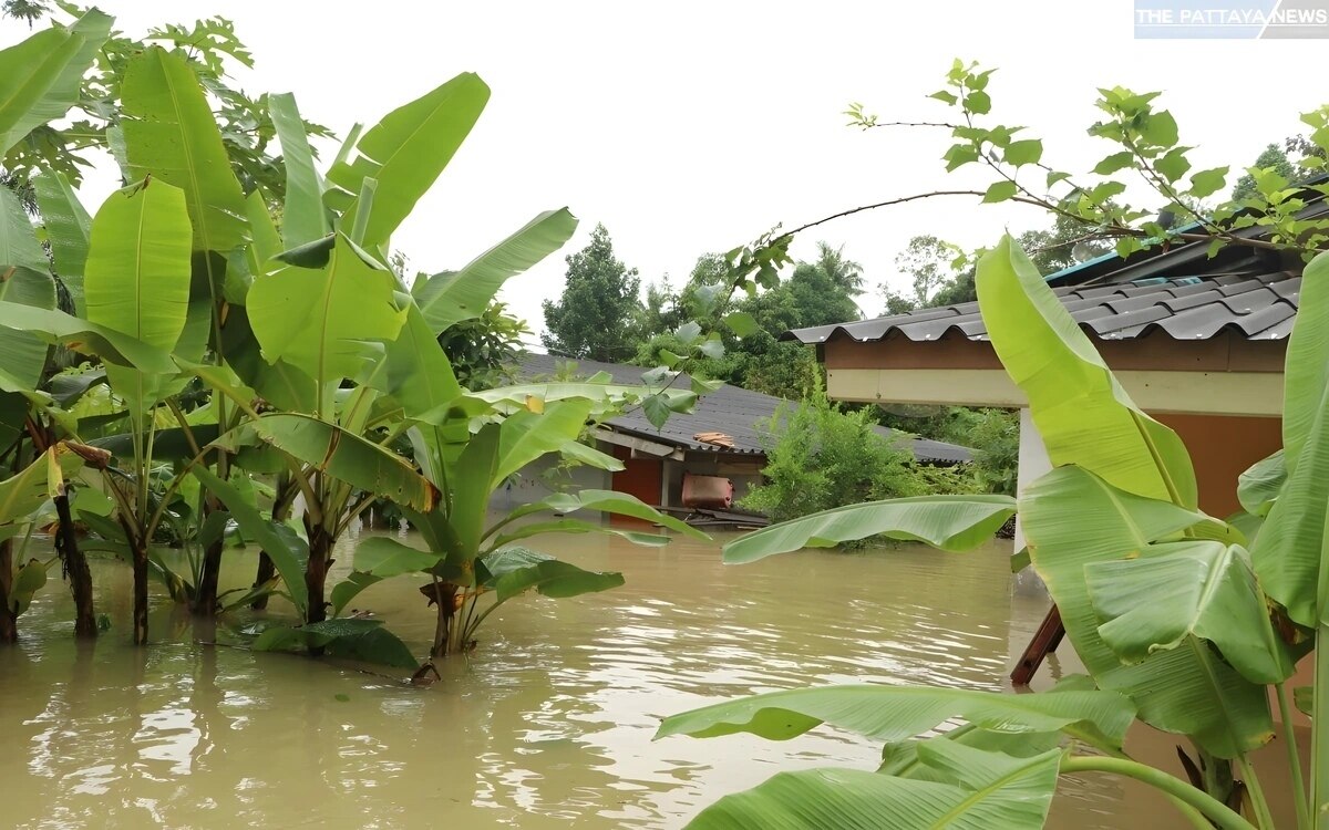 Schwerwiegende ueberschwemmungen in suedthailand mehr als 550 000 haushalte betroffen