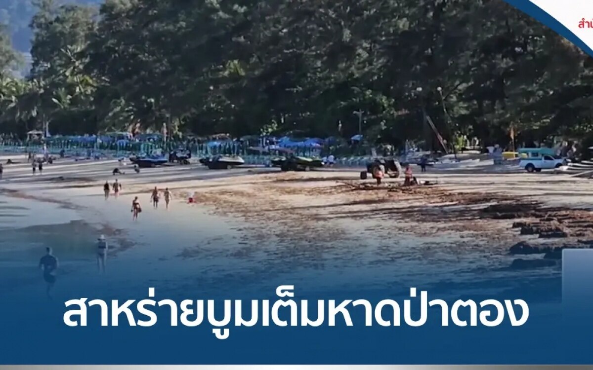 Seegrasbluete bedeckt patong beach