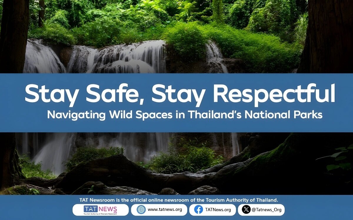 Sicherheitsrichtlinien fuer begegnung mit wilden elefanten in thailands wildnis