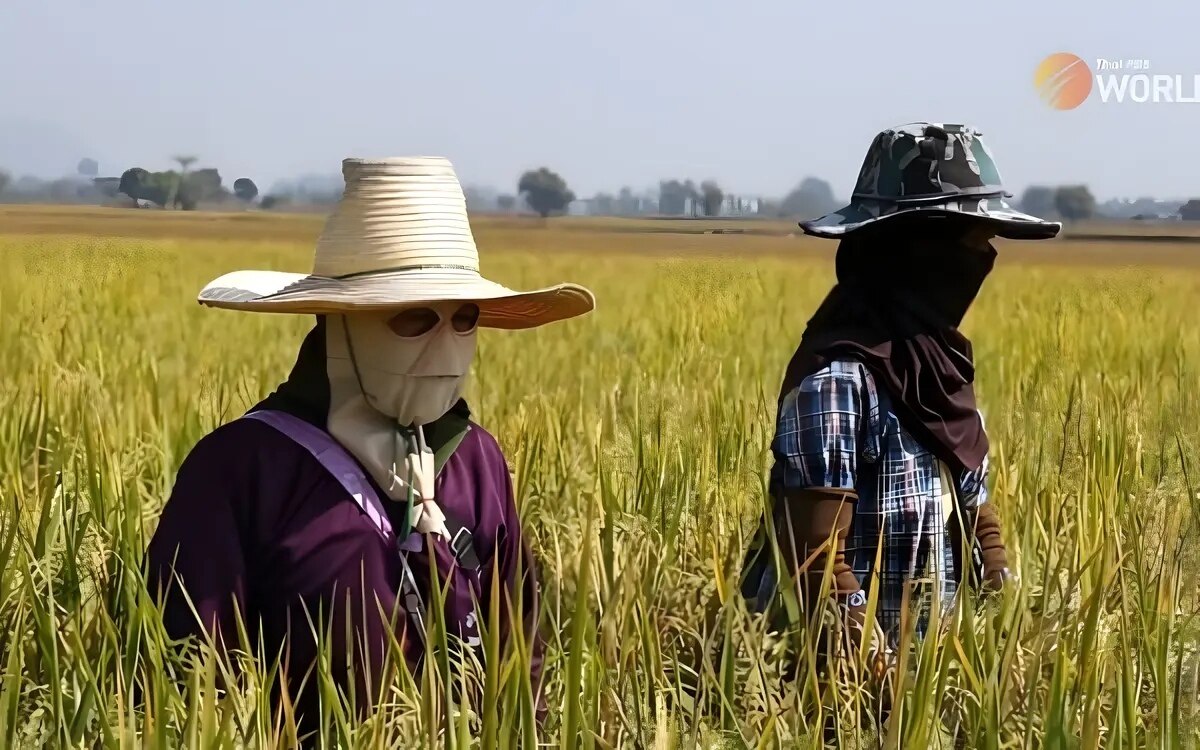 Sor por kor 4 01 landzertifikate werden in landtitel fuer landwirte umgewandelt