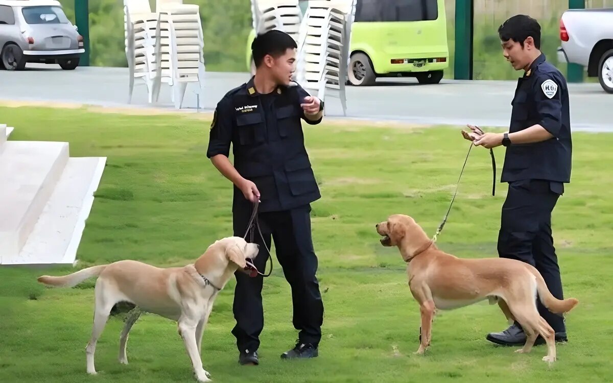 Thailand dominiert Drogenschmuggel in Südkorea - 25% der beschlagnahmten Drogen stammen aus dem Königreich