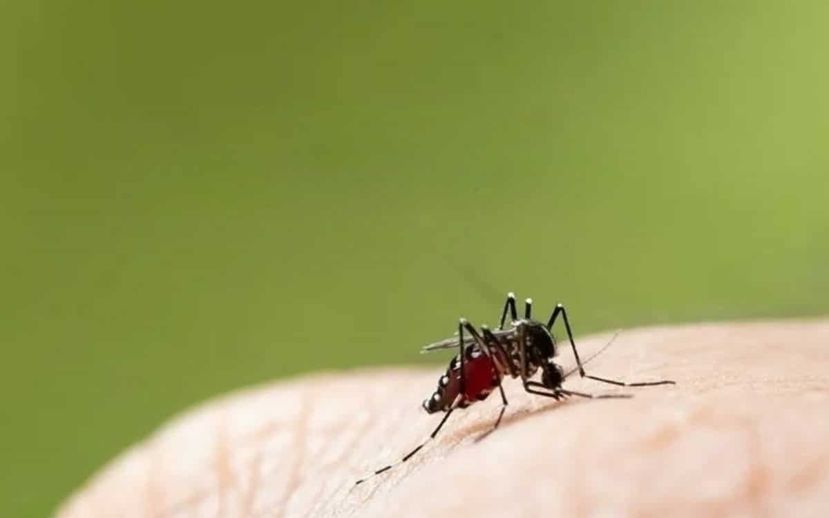 Thailand startet wegweisende Studie zum Dengue-Impfstoff bei Kindern