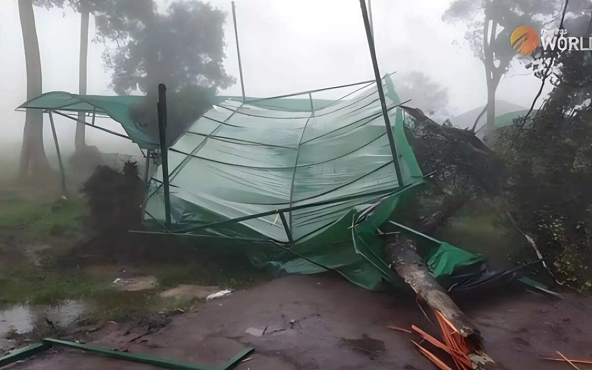 Thailands nationalpark phu soi dao voruebergehend fuer besucher geschlossen