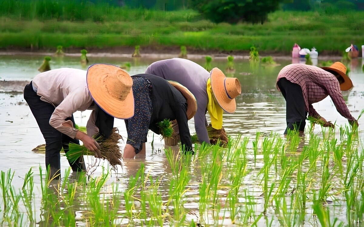 Thailands staatsbuergerschaftsreform ein hoffnungsschimmer fuer staatenlose einwanderer jedoch