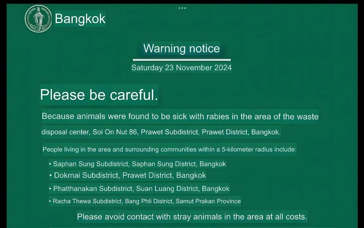 Tollwutwarnung in Bangkok: Gesundheitsbehörden alarmieren die Bevölkerung nach Entdeckung eines infizierten Tieres