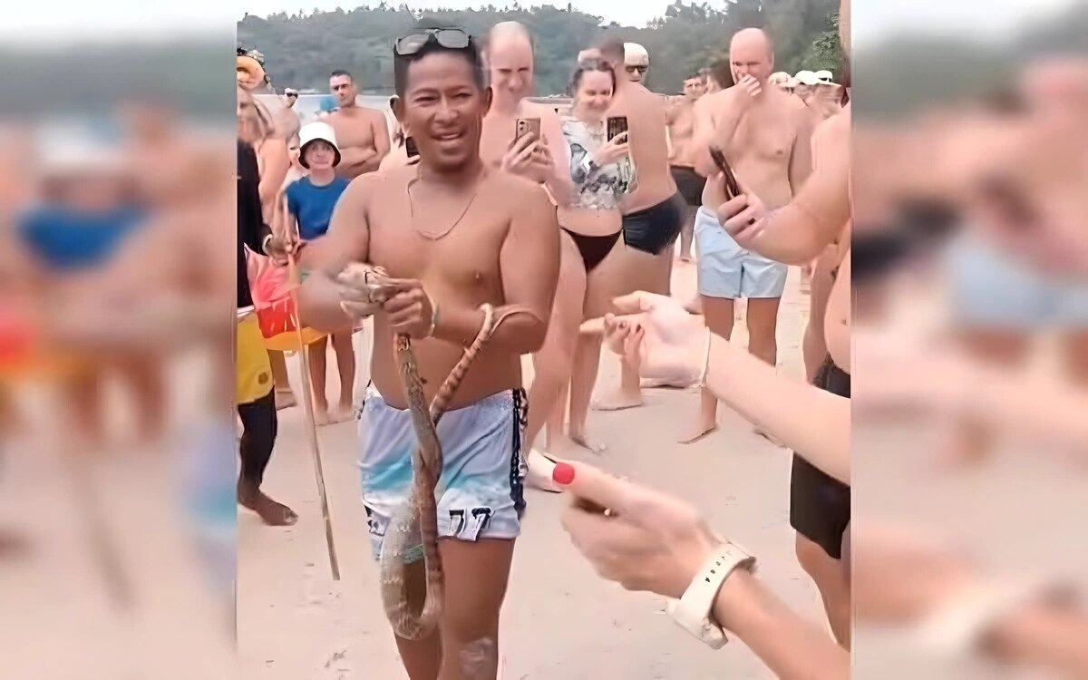 Touristen geraten in panik als eine kobra vor kata beach in phuket schwimmt was fuer chaos sorgt