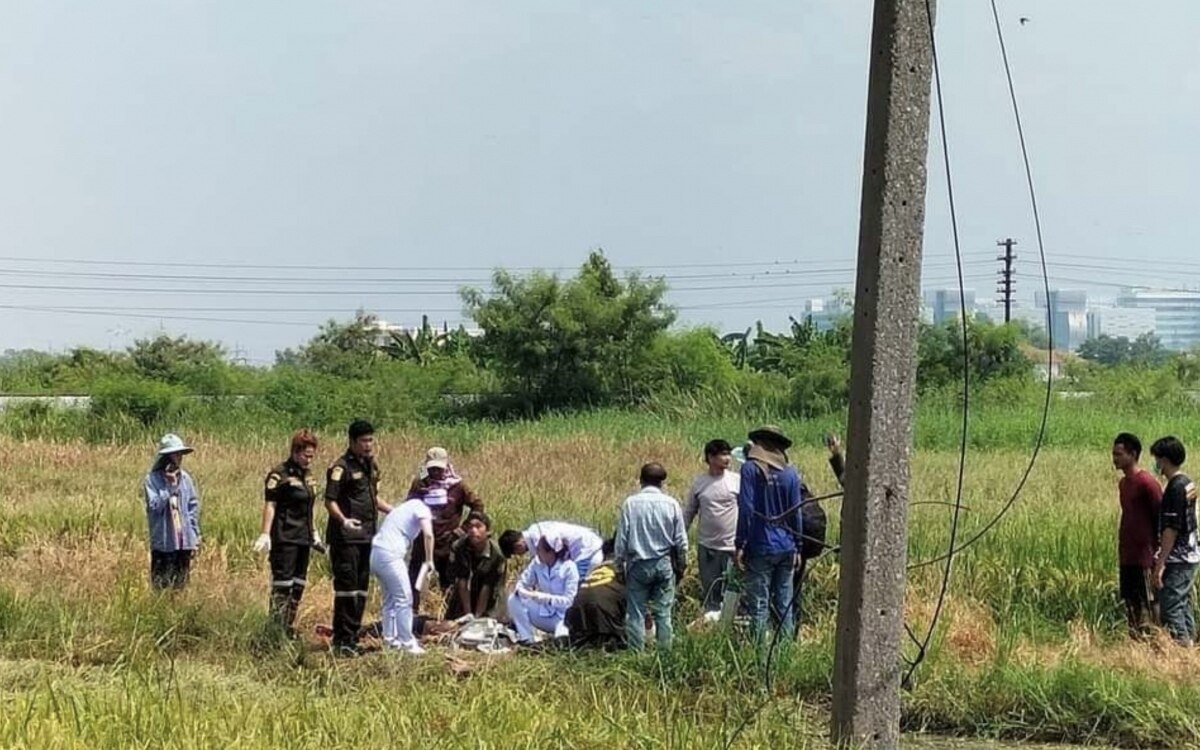 Tragischer Stromunfall auf Reisfeld in Pathum Thani: Zwei Männer bei Erntearbeiten tödlich verletzt