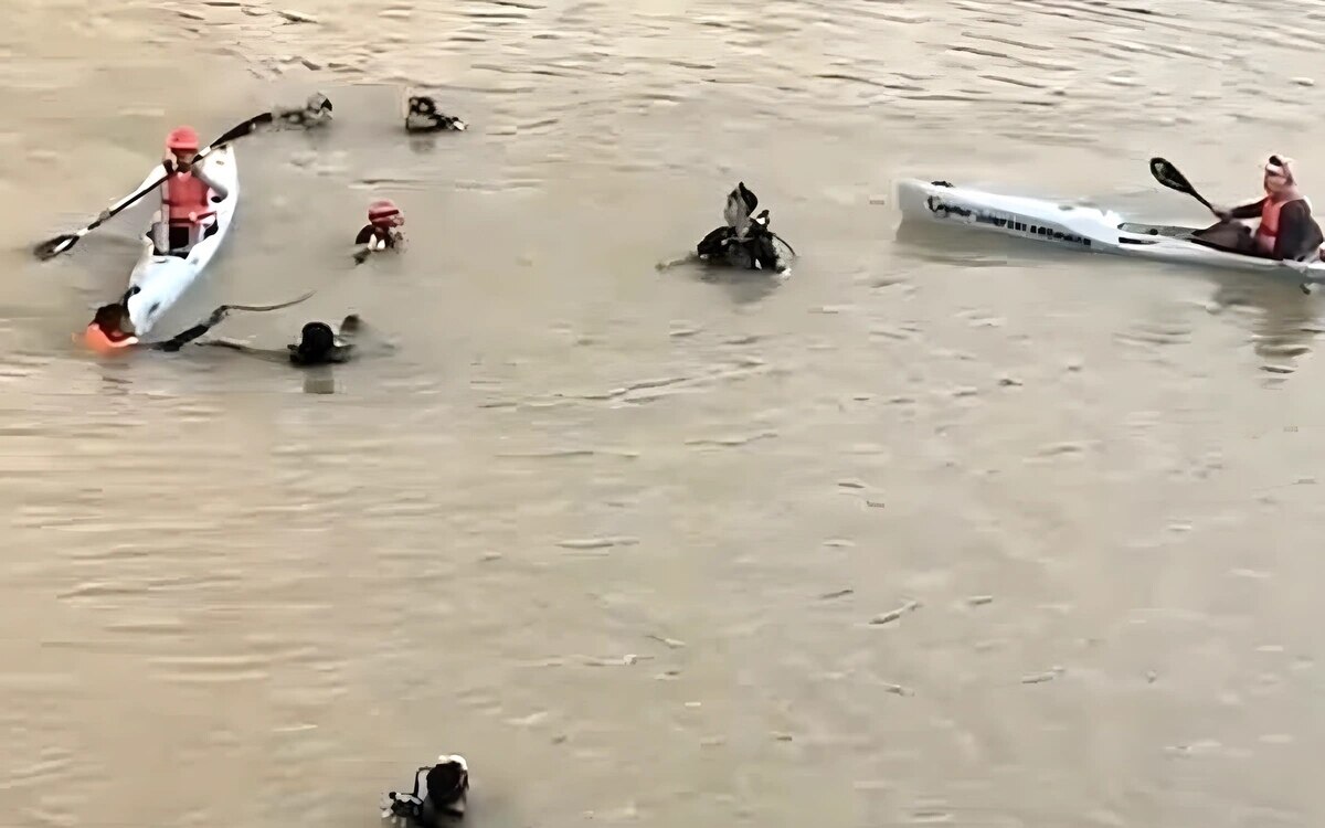 Trauriger unfall in trang 54 jaehrige fahrerin ertrinkt nachdem ihr auto in den fluss stuerzt video