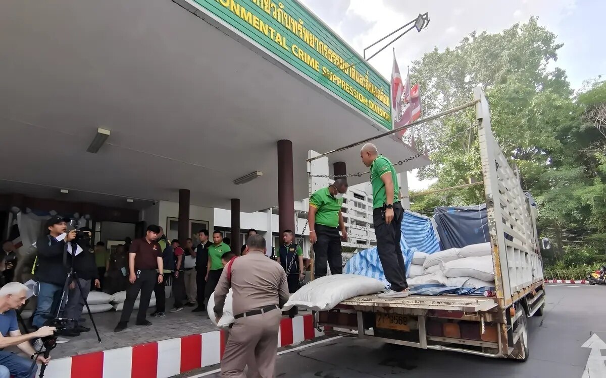 Ueber 1 4 tonnen schuppentierschuppen in der provinz kalasin beschlagnahmt