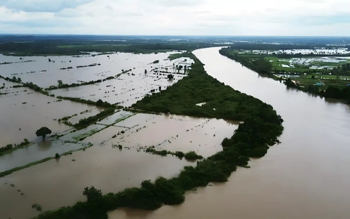 Ueberschwemmte reisfelder in nakhon phanom durch ueberlaufen des mekong