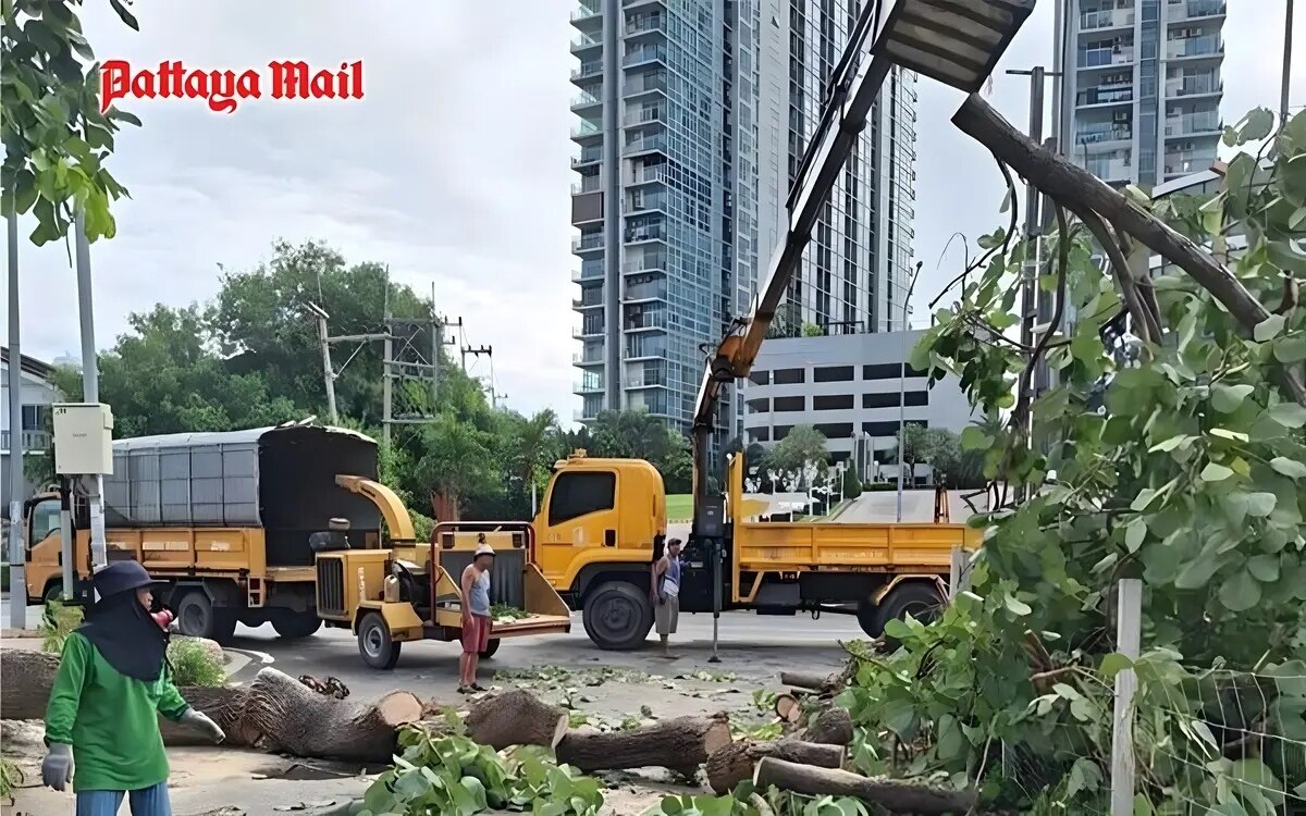 Unwetter drama in pattaya starke winde reissen baeume aus der erde