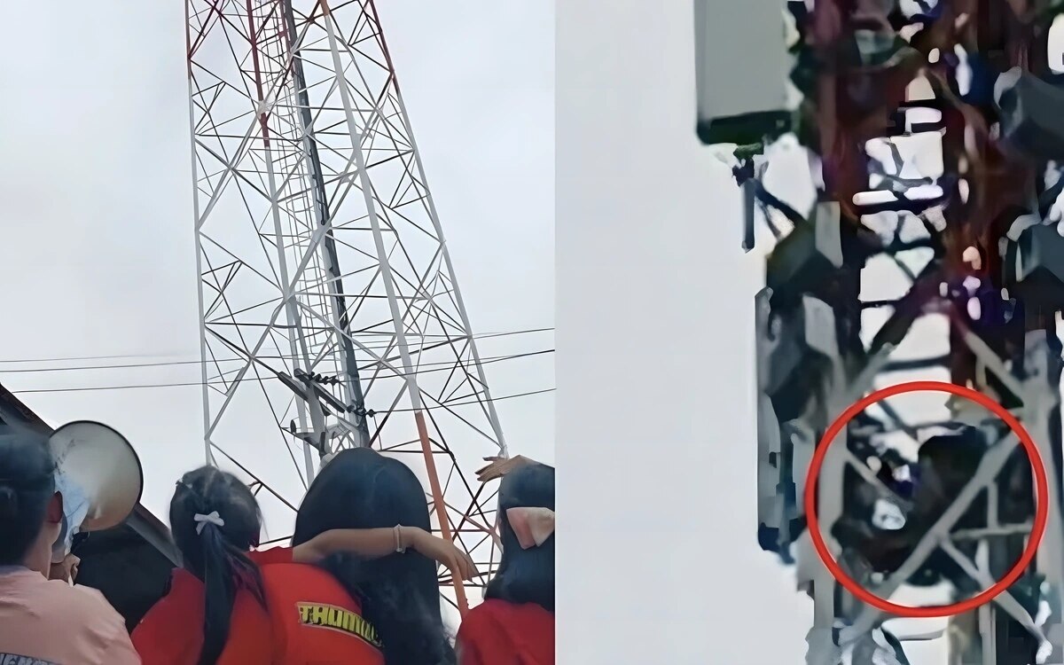 Verrueckter grossvater auf telefonmast 6 jaehrige rettet mit suessen worten