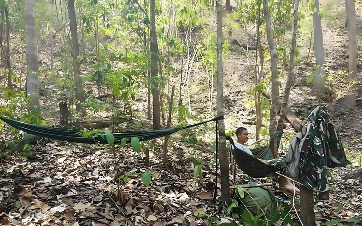 Waldschutz in thailand forstbehoerde erhaelt moderne maschinenpistolen zur verbesserung der