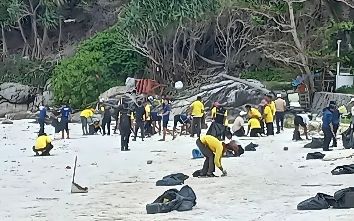 Wettlauf um die beseitigung der grossen oelpest hat begonnen