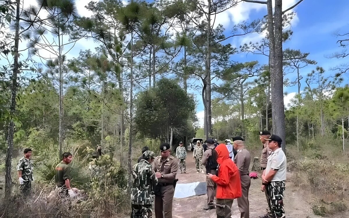 Wilder Elefant greift Touristen an - Eine Tote - Sicherheitsmaßnahmen ergriffen