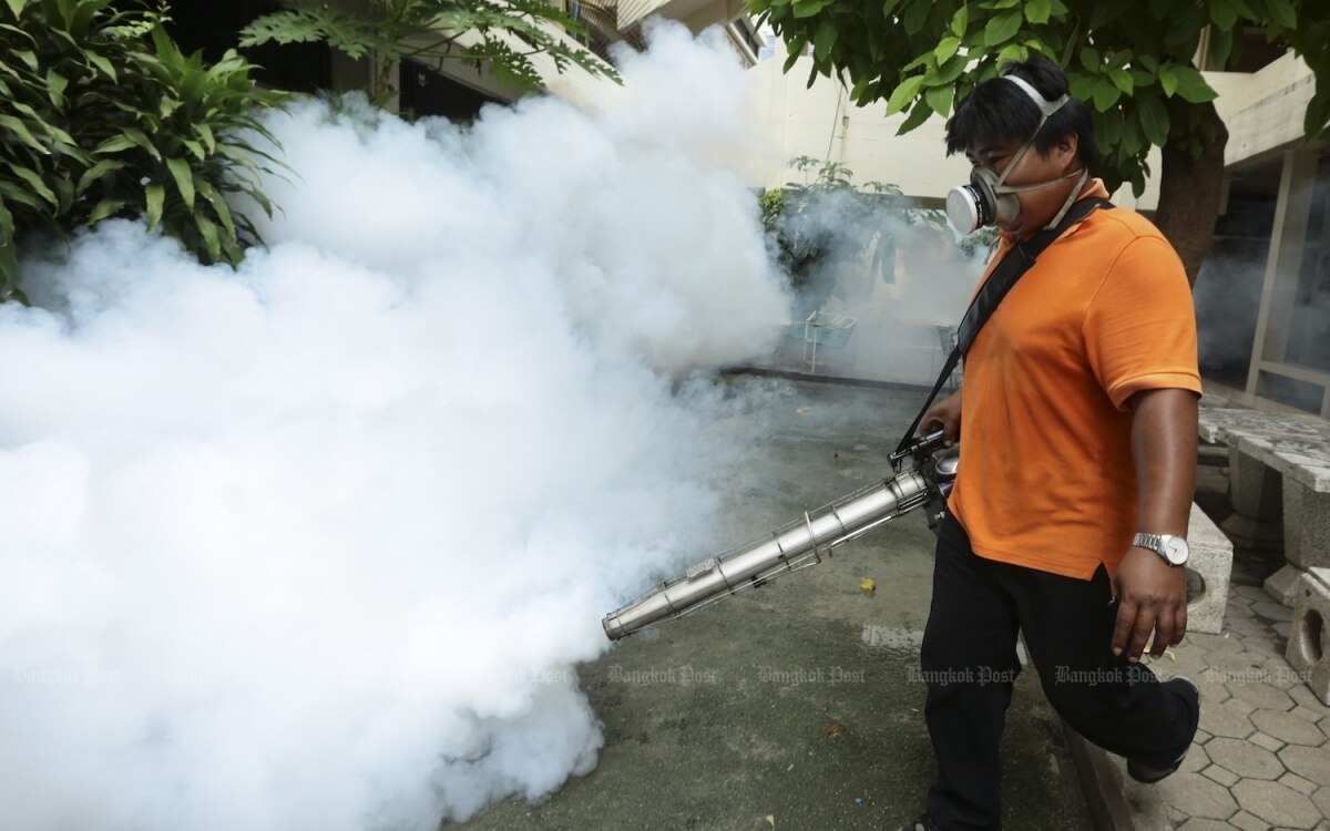 Zika-Fälle lösen Gesundheitswarnung aus