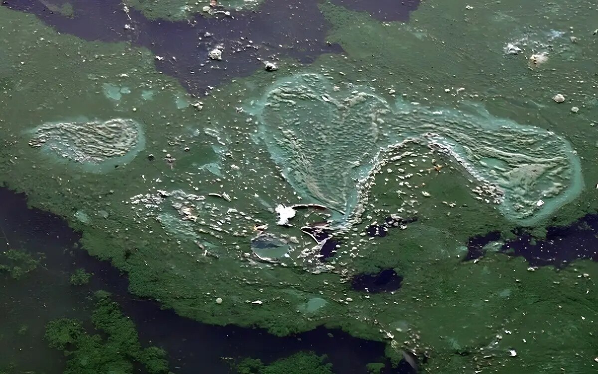 Bayern: Blaualgen beeinträchtigen Badevergnügen an bayerischen Seen