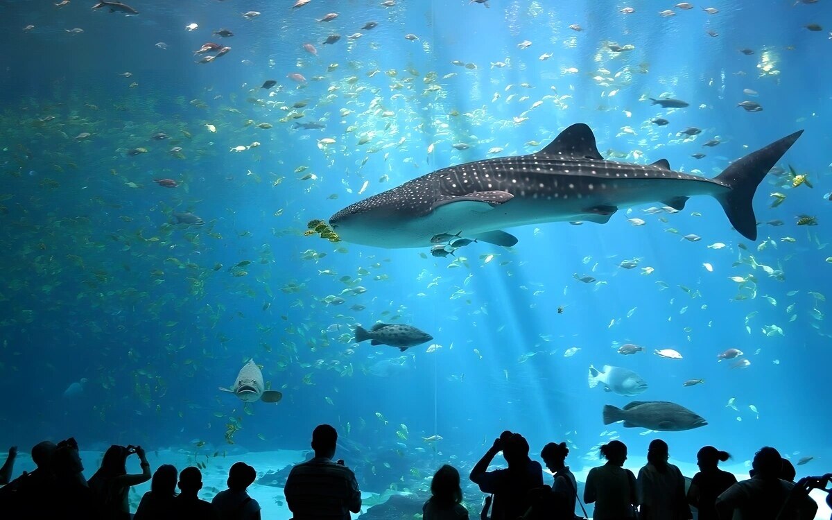 Berlin die top 10 aquarien der welt von singapur bis chicago