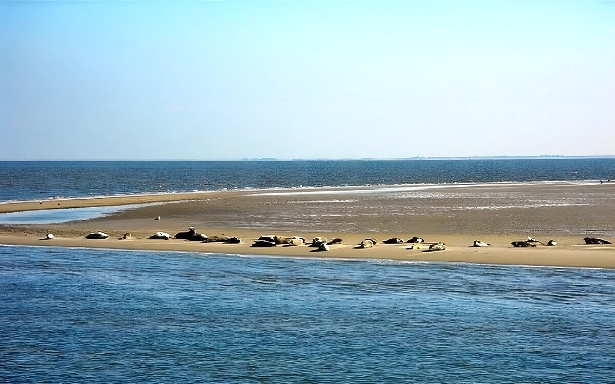 Berlin: Klimawandel bedroht das Wattenmeer in Rekordtempo