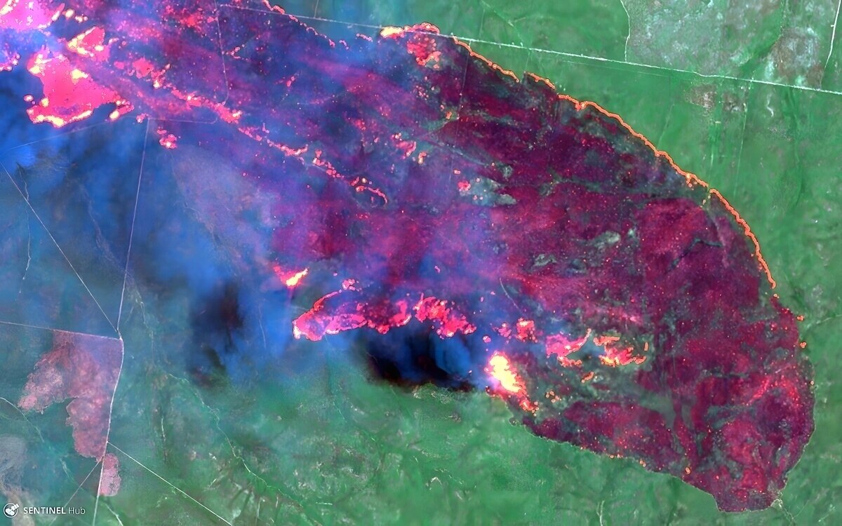 Brasilia schwere wald und buschfeuer in brasilien