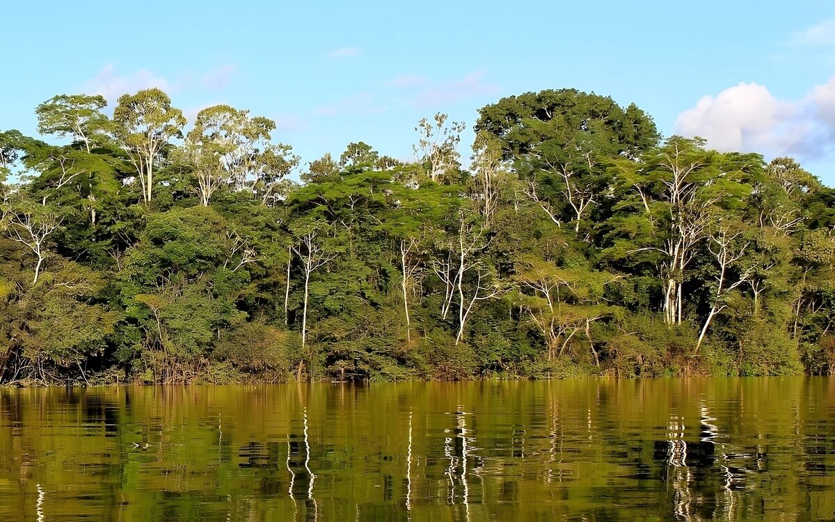 Brasilien heftige braende im amazonasgebiet klimawandel verschaerft die situation