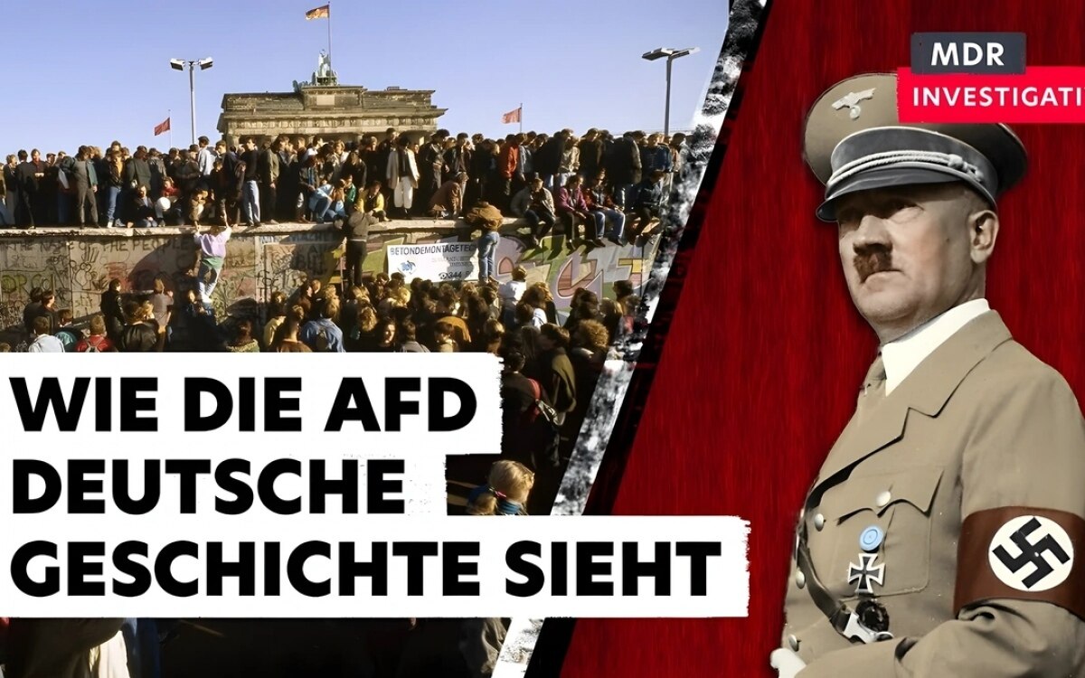 Deutschland: Wie die AfD die deutsche Geschichte sieht (Doku Video)