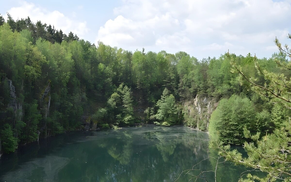 Duesseldorf waldzustandsbericht 2024 besorgnis ueber den zustand der waelder in nrw